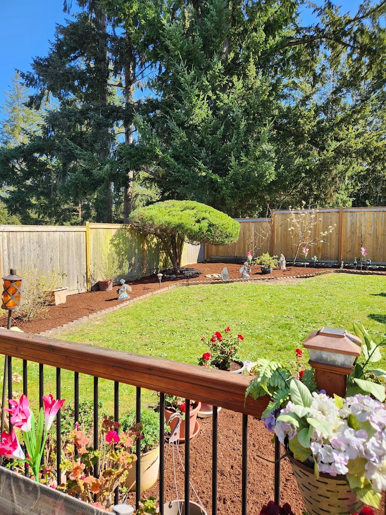Backyard bed with mulch, plants and lawn
