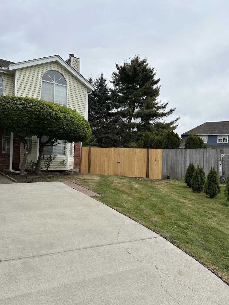 New cedar privacy fence and manicured yard
